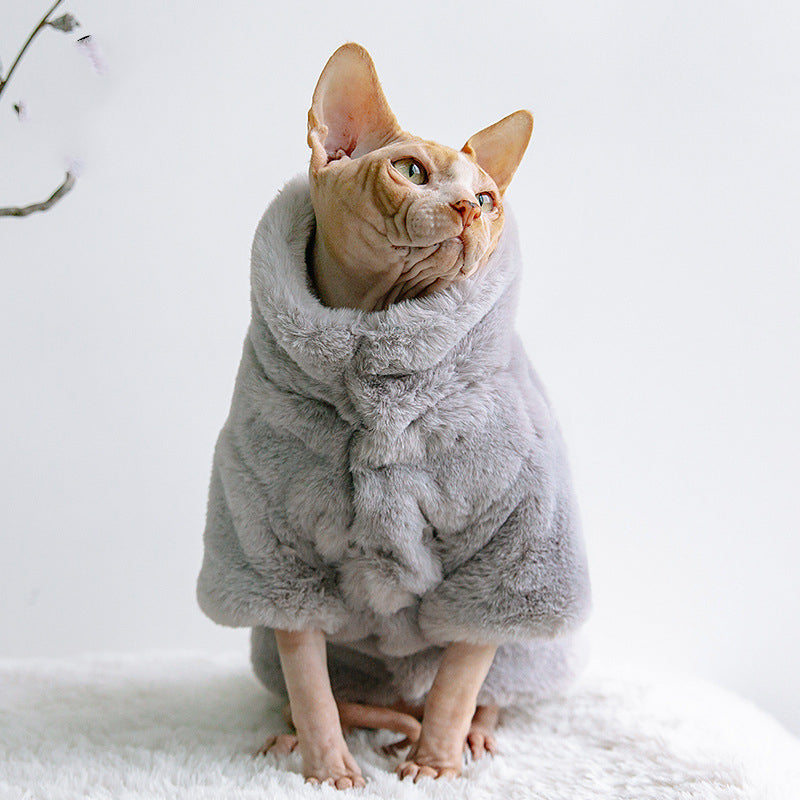 Sphinx cat wearing a coat with fur Stock Photo