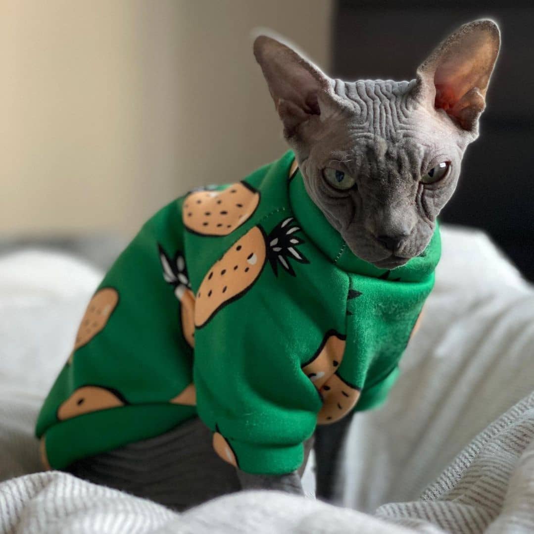 Sphynx Cat's Clothes turtleneck Small cats green