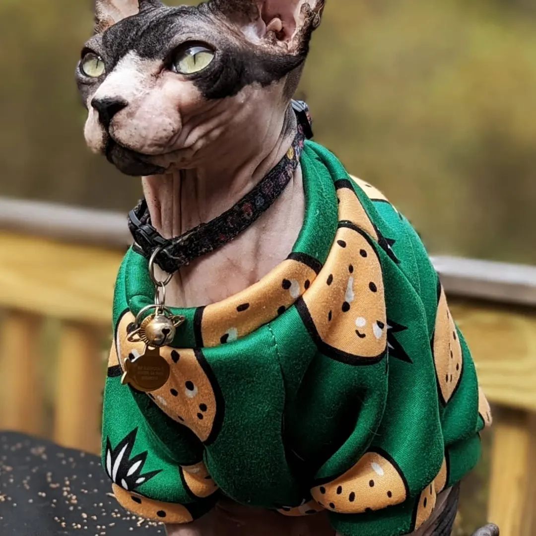 Green Cat Sweater Green Cat Clothes Green Sphynx Clothes 